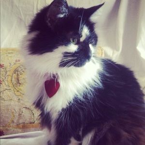 Meet your Posher, Veronica